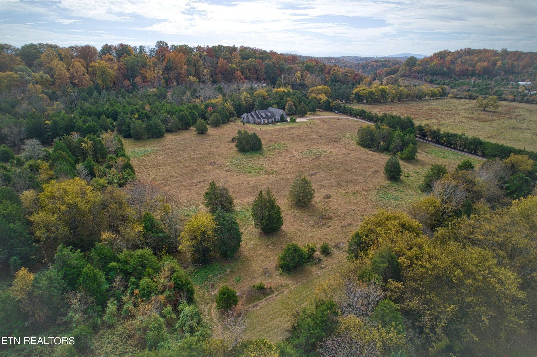 1443 West Dumplin Valley Road Dandridge, TN 37725 - Photo 47 of 51 a view of a dry yard with green space
