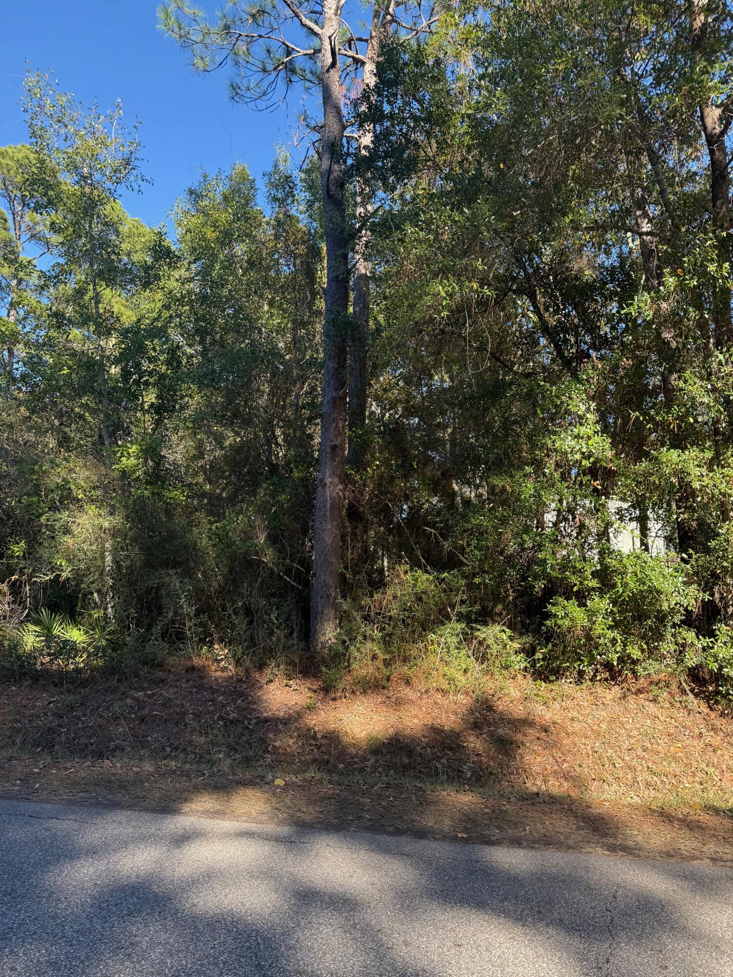 Lot 4 Nelson Street Navarre, FL 32566 - Photo 2 of 10 a view of a yard with a tree
