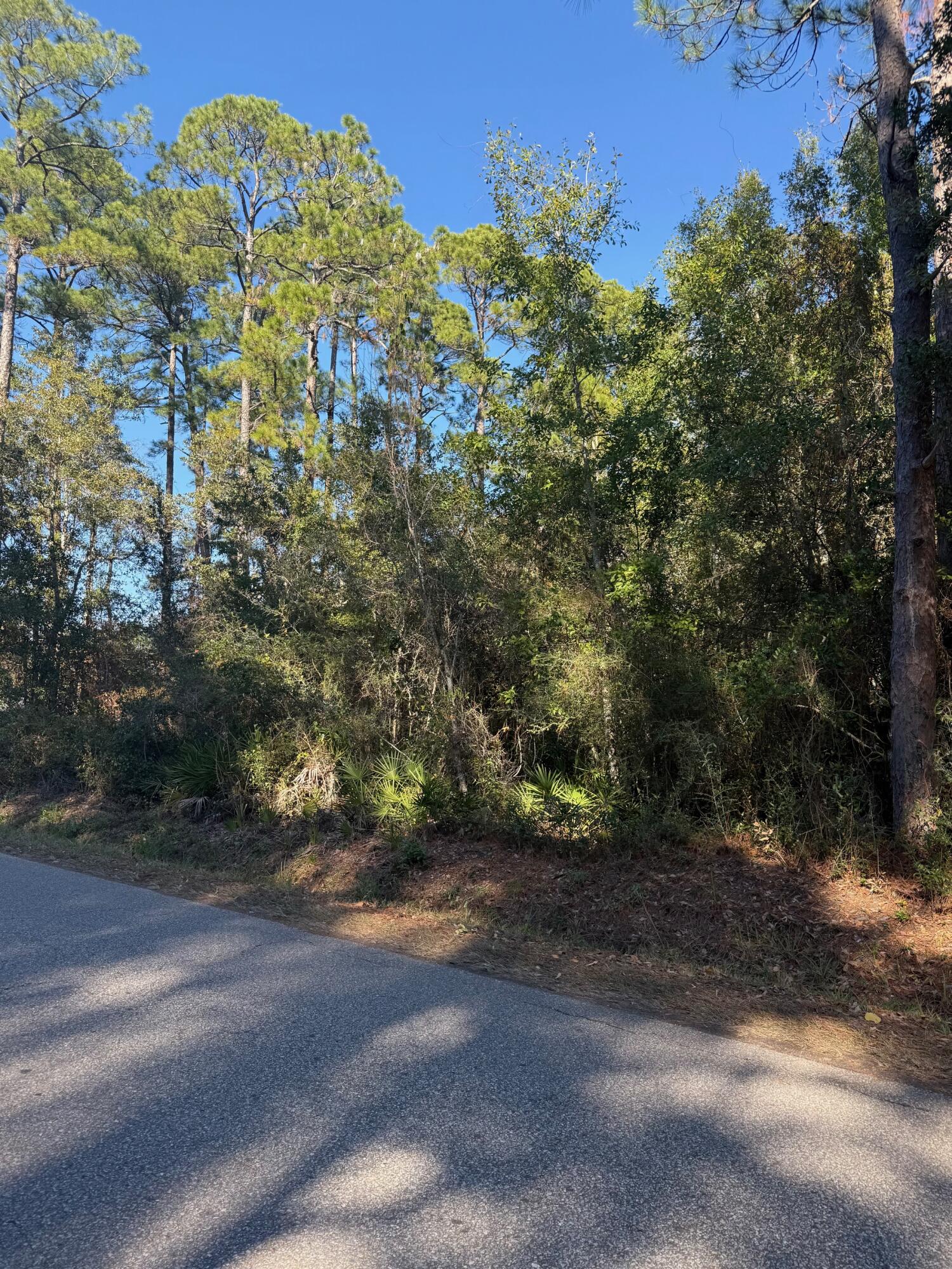 Lot 4 Nelson Street Navarre, FL 32566 - Photo 3 of 10 a view of a yard with a tree