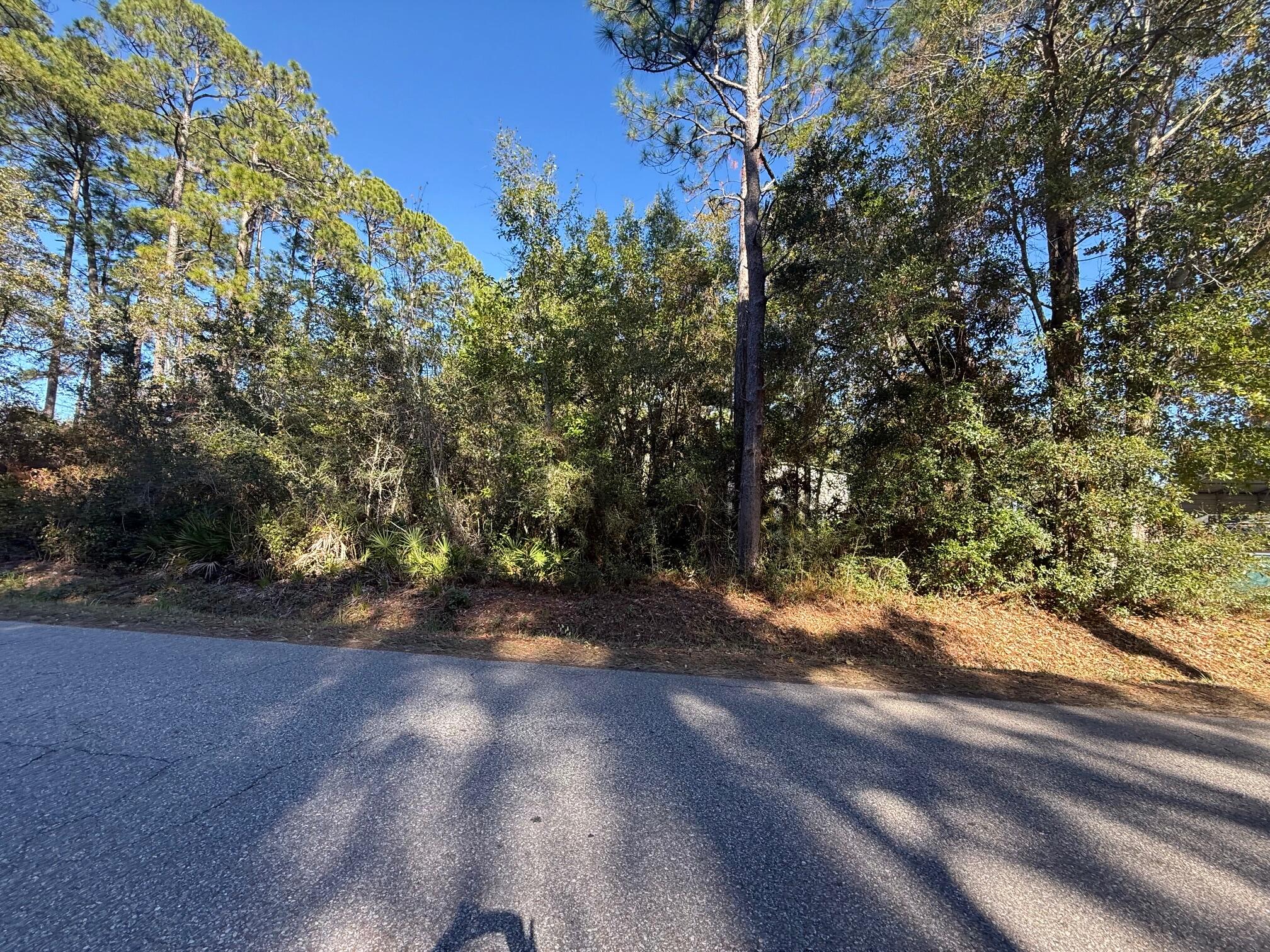 Lot 4 Nelson Street Navarre, FL 32566 - Photo 6 of 10 a view of a yard with a tree
