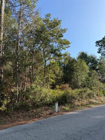 a view of a yard with a tree in the background