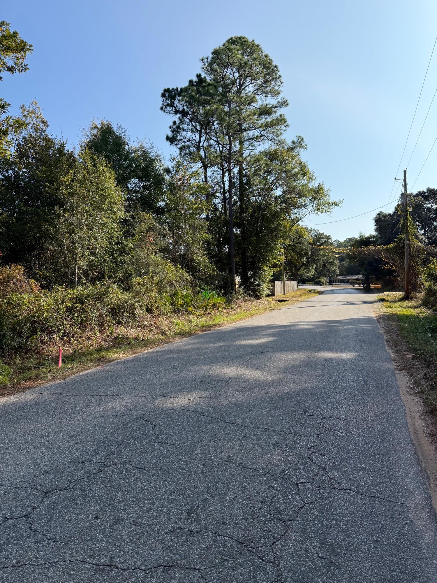 Lot 4 Nelson Street Navarre, FL 32566 - Photo 8 of 10 a view of a yard with a tree in the background