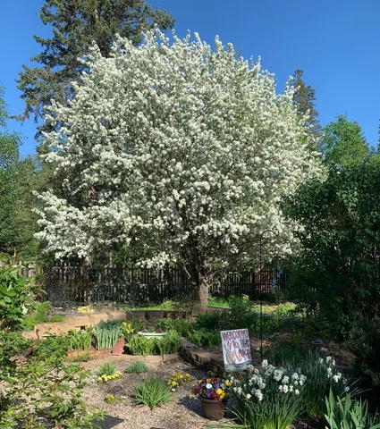 $575,000 | 8639 South Strand Lake Road, Cotton, MN 55724