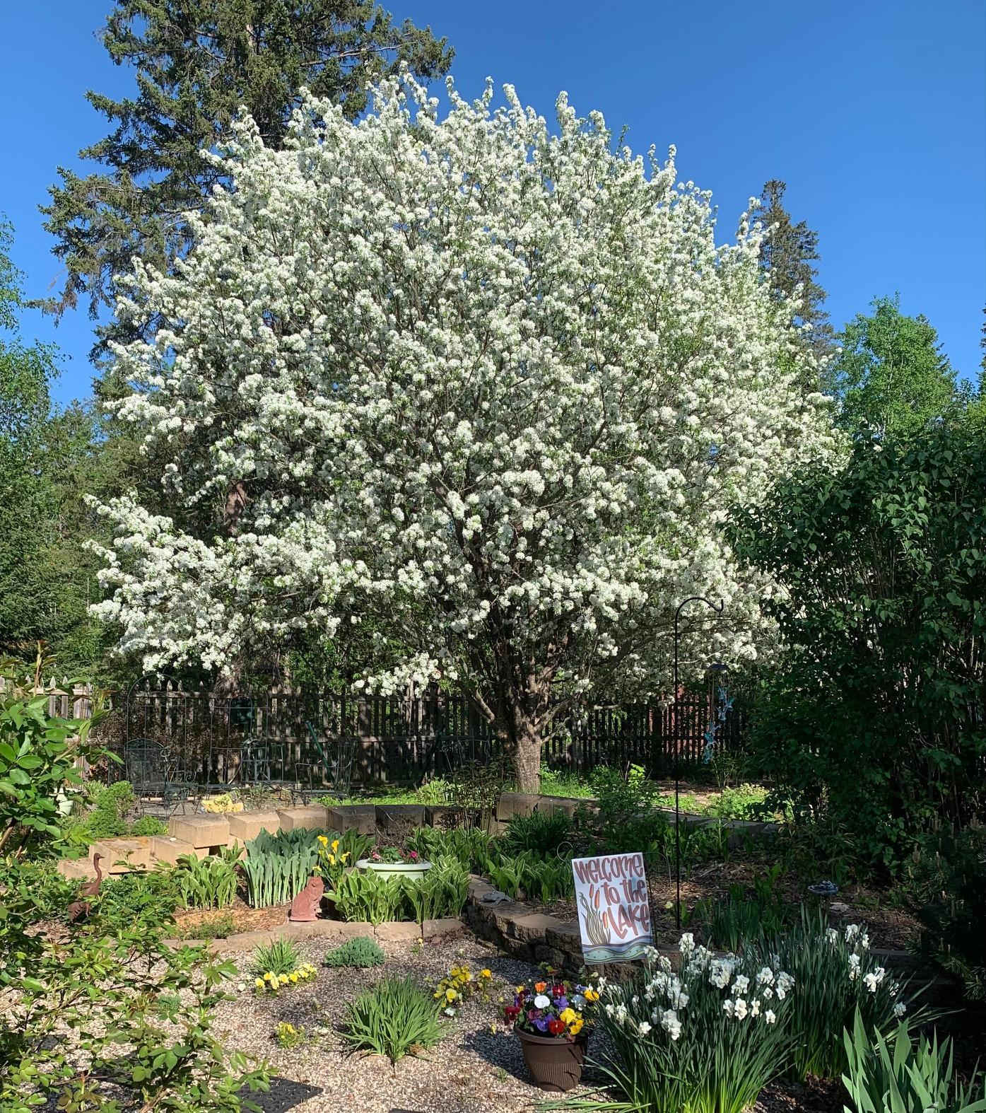 8639 South Strand Lake Road Cotton, MN 55724 - Photo 33 of 51