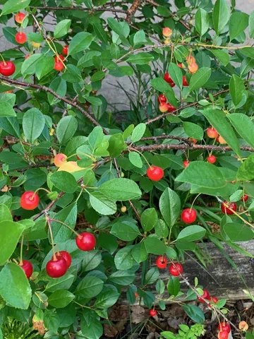 $575,000 | 8639 South Strand Lake Road, Cotton, MN 55724