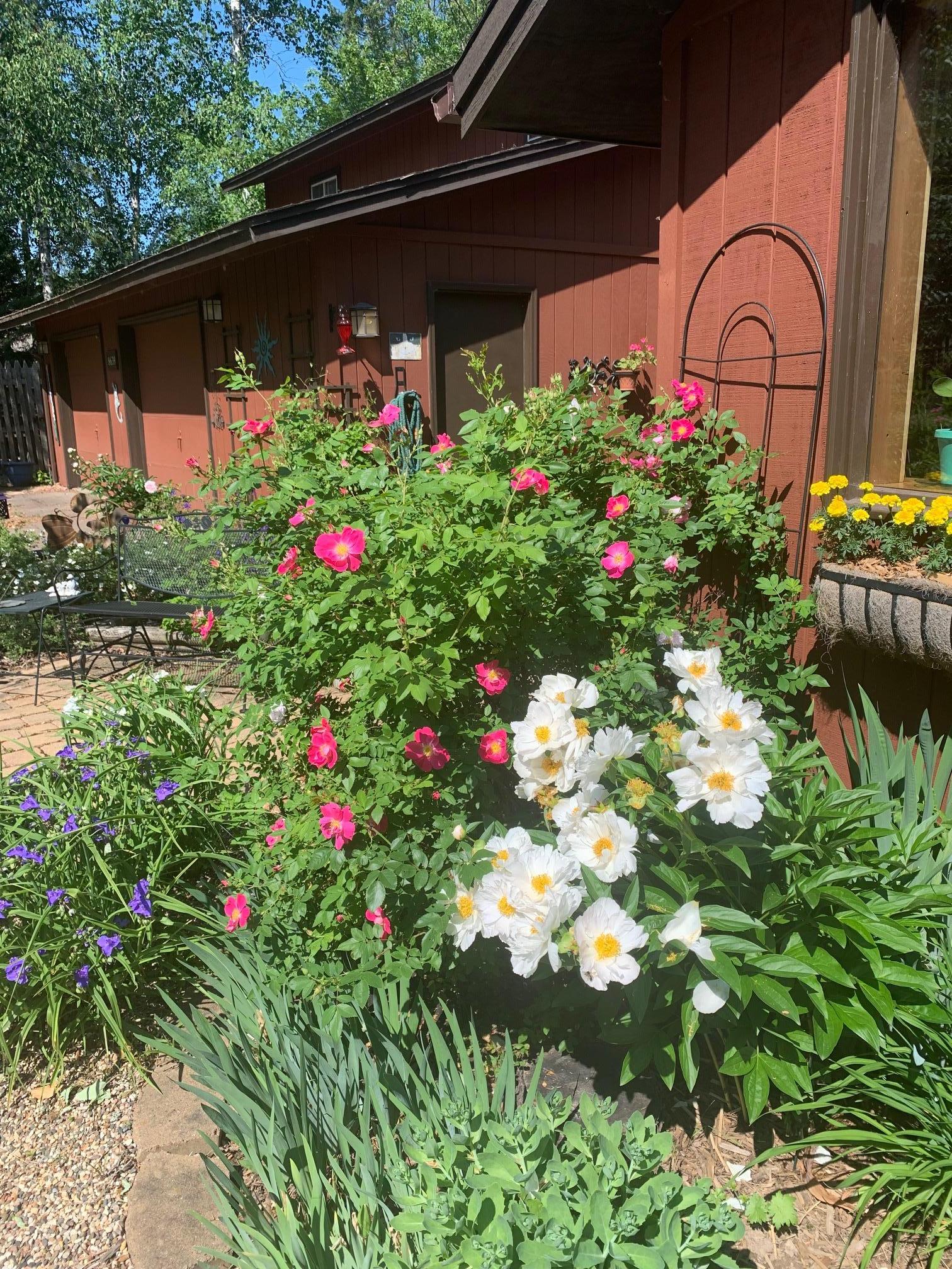 8639 South Strand Lake Road Cotton, MN 55724 - Photo 44 of 51