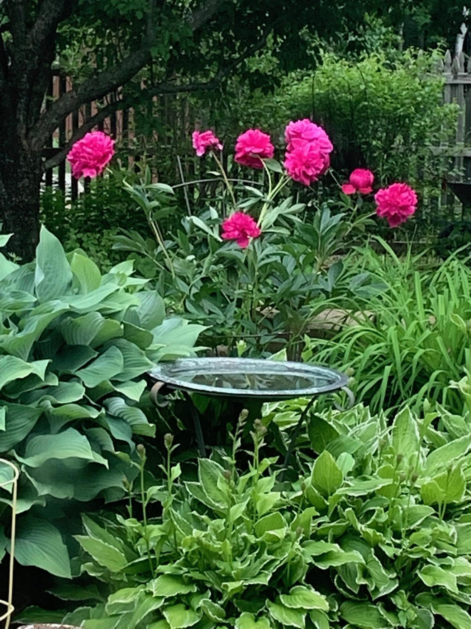 8639 South Strand Lake Road Cotton, MN 55724 - Photo 45 of 51