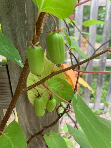 $575,000 | 8639 South Strand Lake Road, Cotton, MN 55724