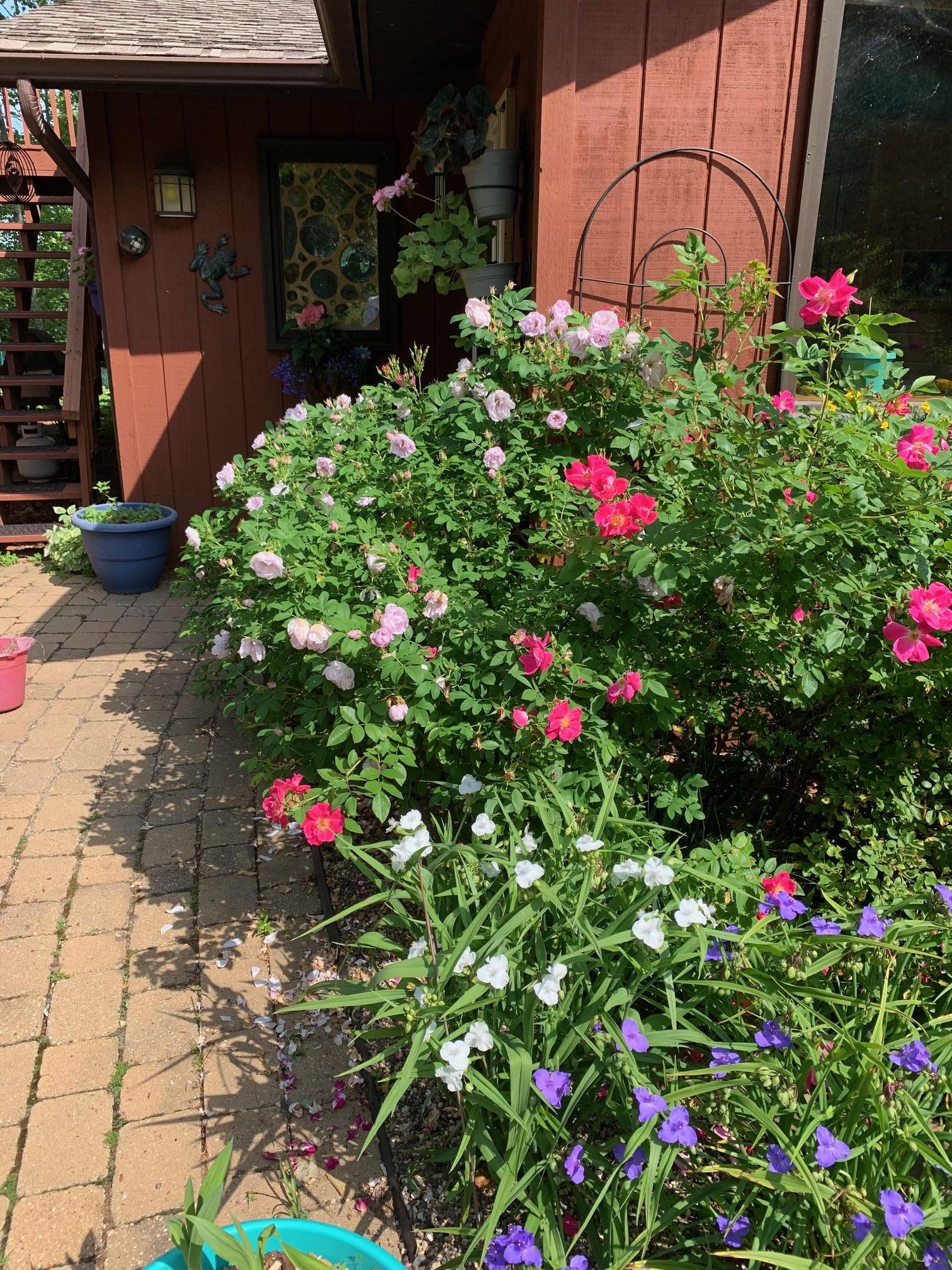 8639 South Strand Lake Road Cotton, MN 55724 - Photo 47 of 51