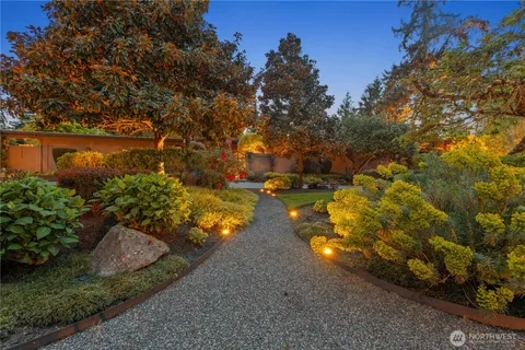 a view of a yard with plants and large trees