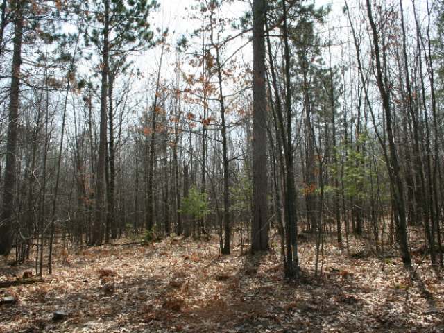 Lot 12 Hwy 47 Rhinelander Wi 54501 Rhinelander, WI 54501 - Photo 3 of 6 Gallery Image 3