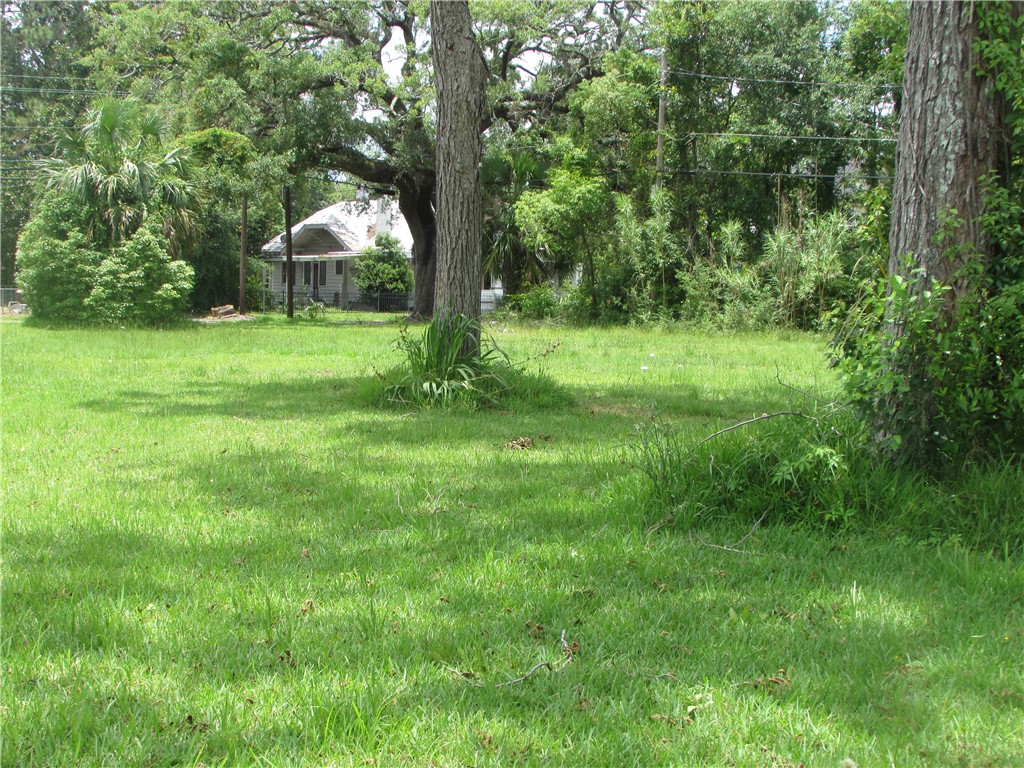 601 North Nicholls Street Waycross, GA 31503 - Photo 2 of 4 The lot is larger than you think. Shrubs are large.