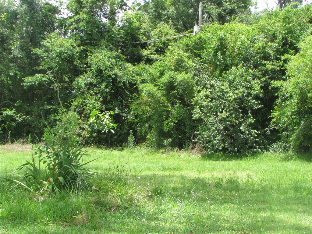 601 North Nicholls Street Waycross, GA 31503 - Photo 4 of 4