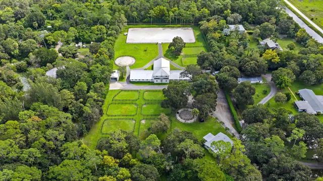 a green field with lots of plants and trees