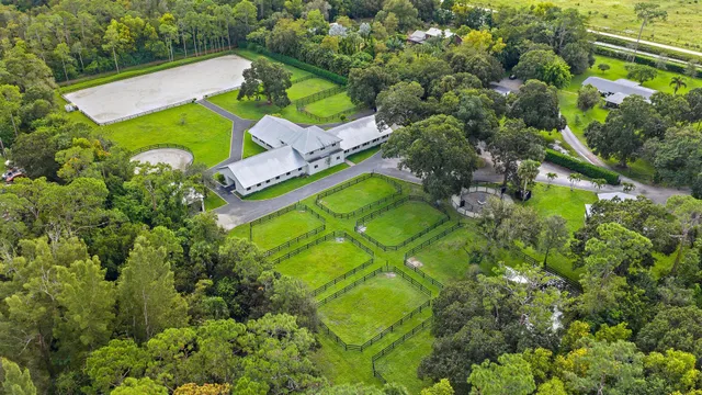 a view of a swimming pool with a garden