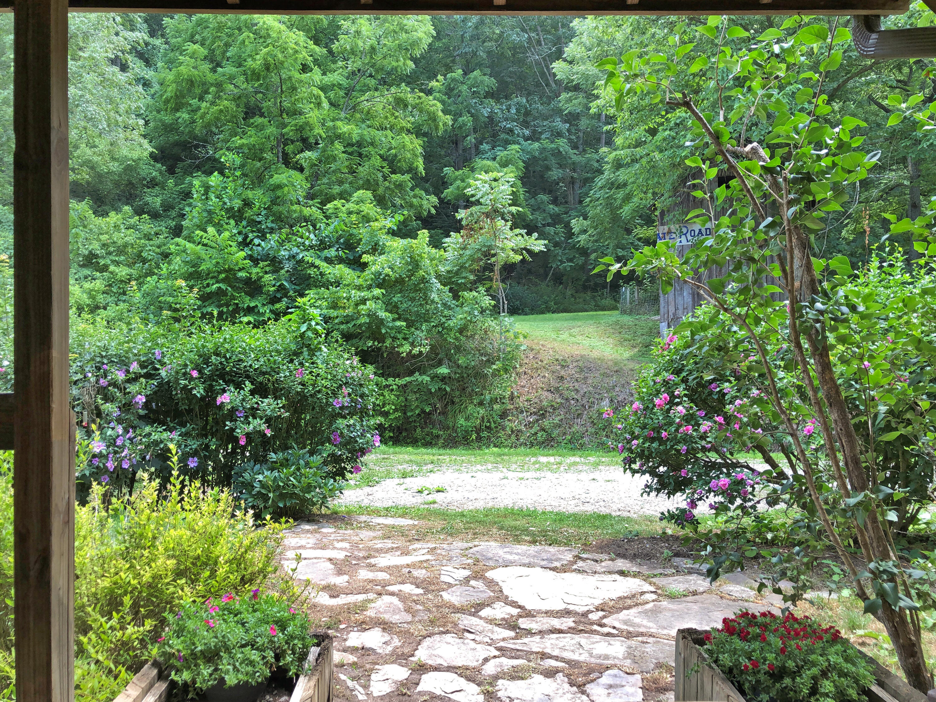 3038 Georges Run Road Shawsville, VA 24162 - Photo 11 of 64 16