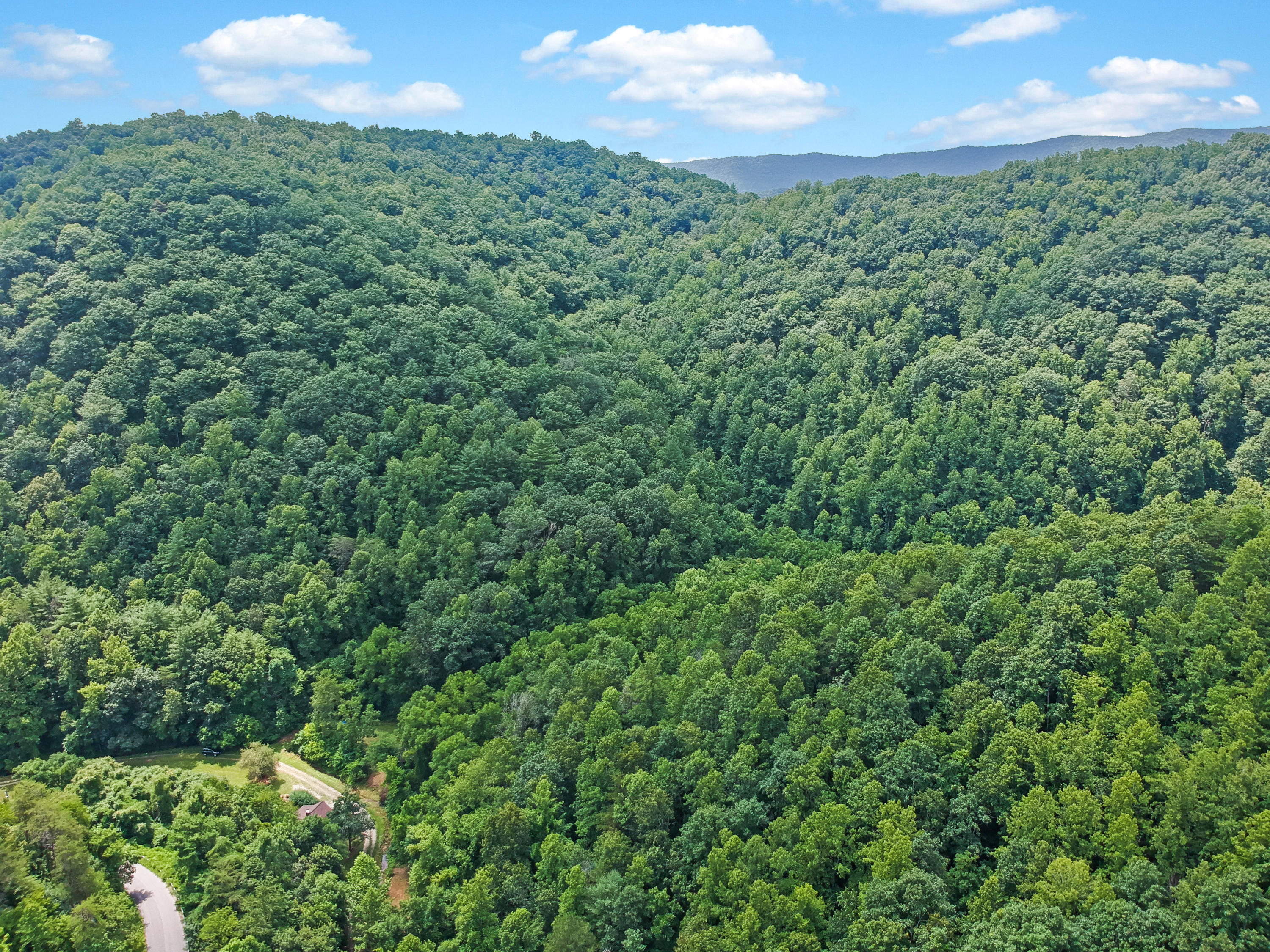 3038 Georges Run Road Shawsville, VA 24162 - Photo 4 of 64 DJI_1945
