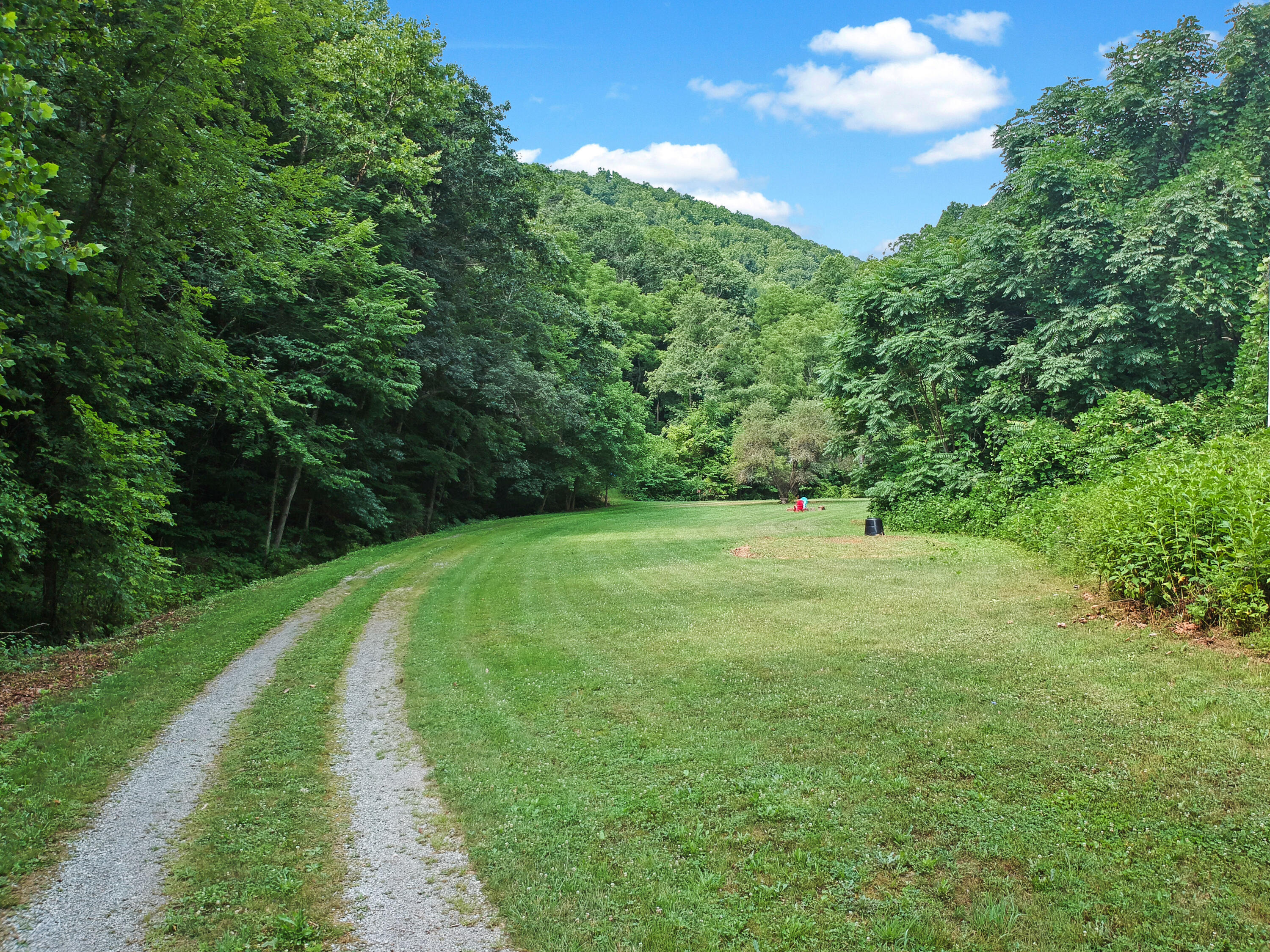 3038 Georges Run Road Shawsville, VA 24162 - Photo 46 of 64 DJI_1856
