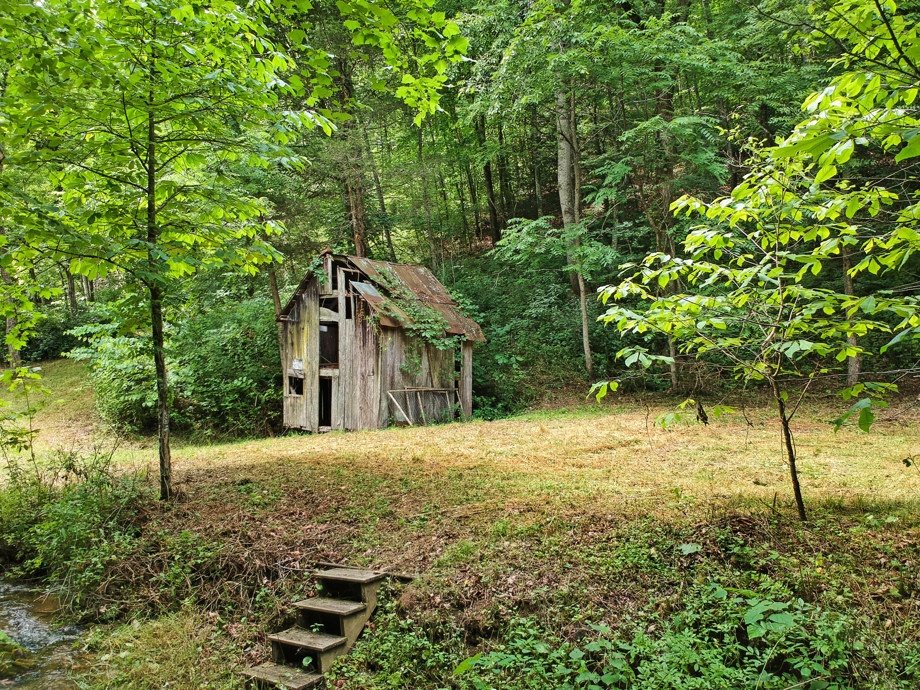 3038 Georges Run Road Shawsville, VA 24162 - Photo 48 of 64 DJI_1926