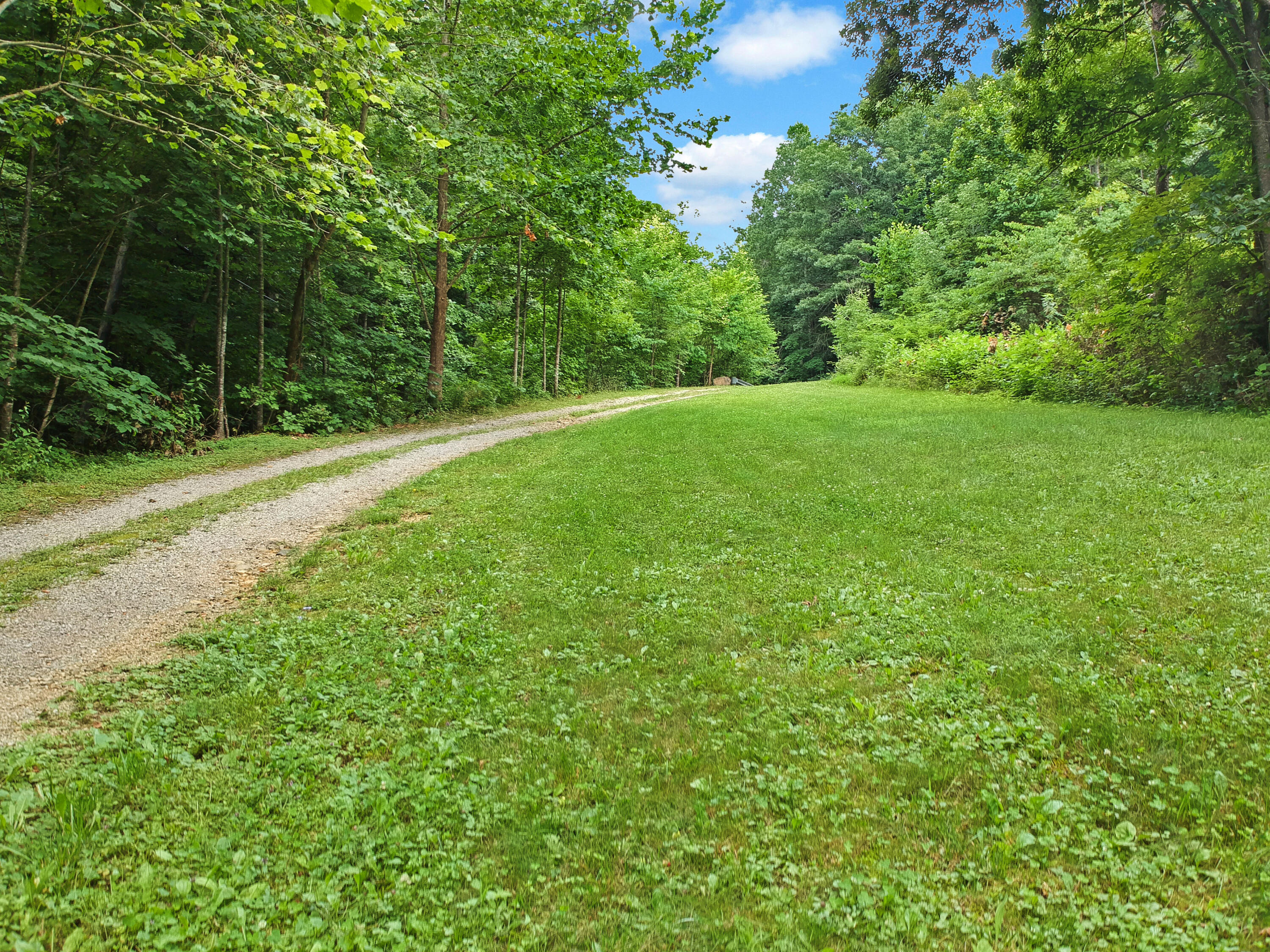 3038 Georges Run Road Shawsville, VA 24162 - Photo 6 of 64 DJI_1936