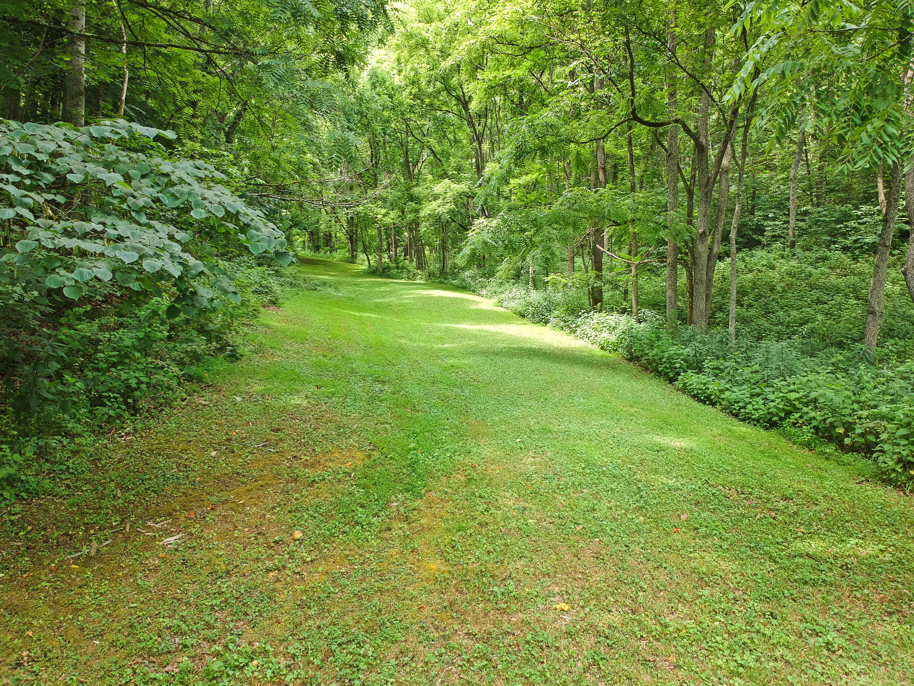 3038 Georges Run Road Shawsville, VA 24162 - Photo 53 of 64 DJI_1966