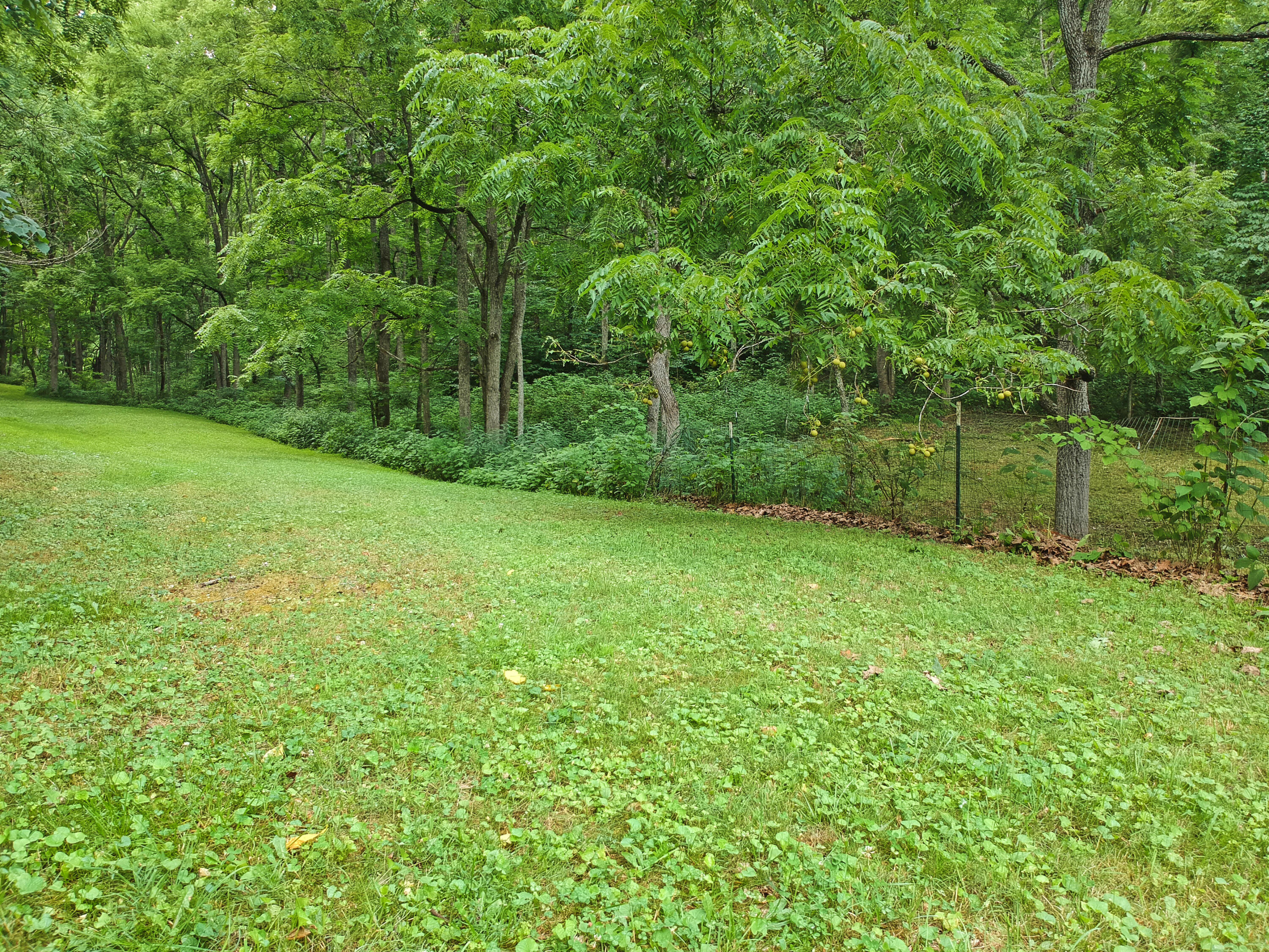 3038 Georges Run Road Shawsville, VA 24162 - Photo 54 of 64 DJI_1984