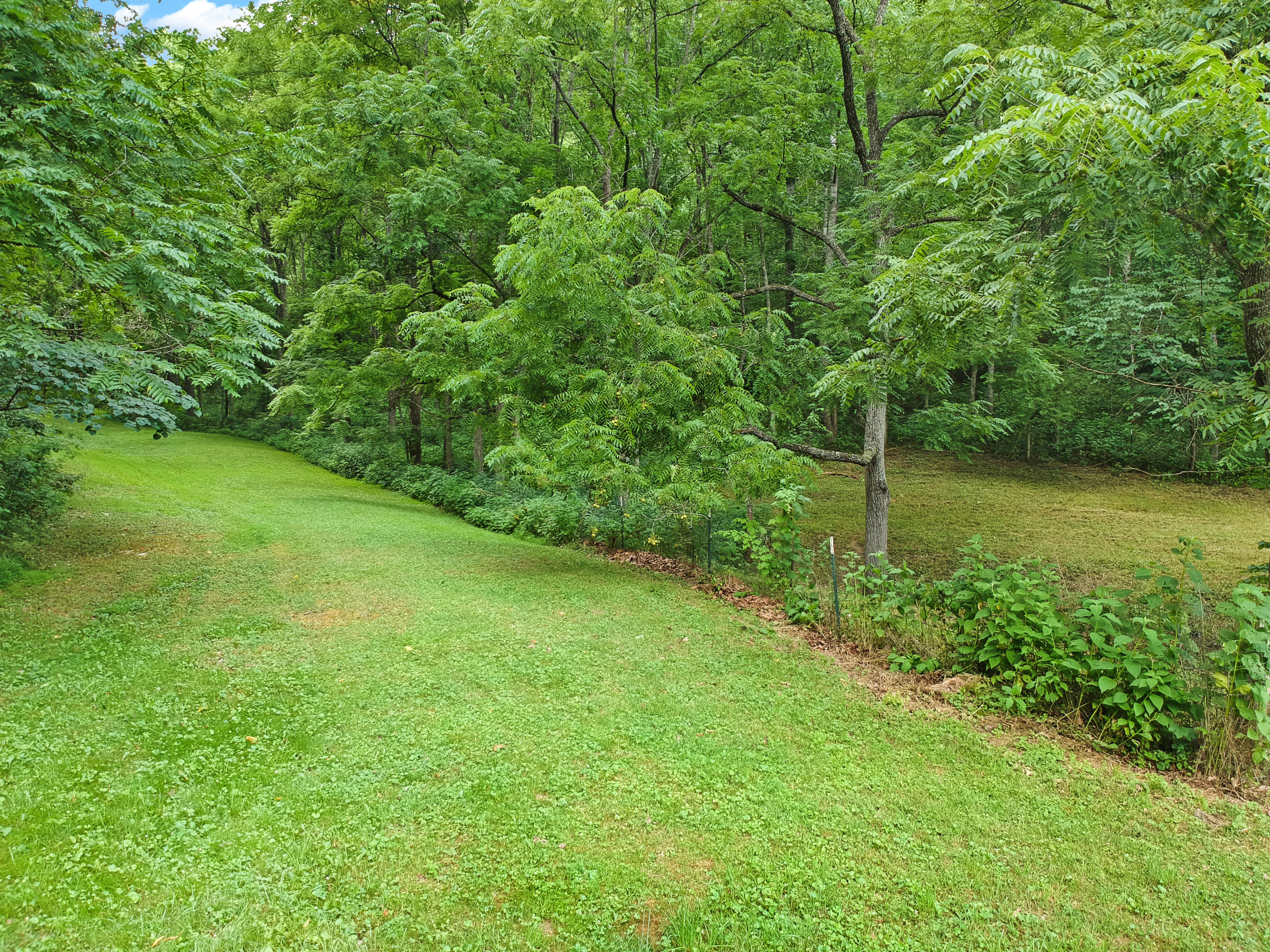 3038 Georges Run Road Shawsville, VA 24162 - Photo 55 of 64 DJI_1986