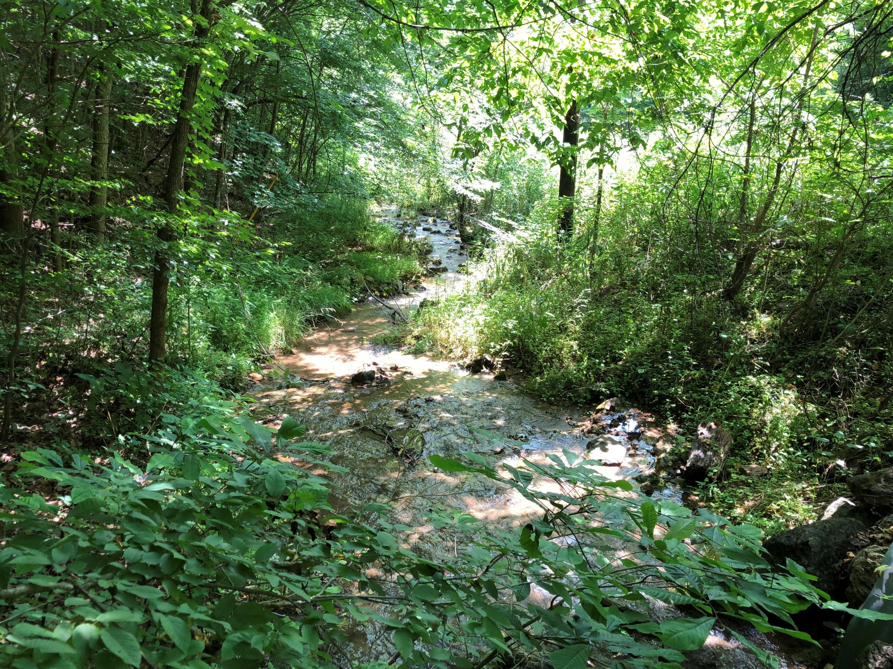 3038 Georges Run Road Shawsville, VA 24162 - Photo 59 of 64 15