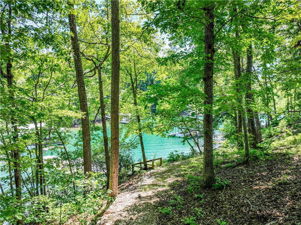 164 Wild Azalea Point Seneca, SC 29672 - Photo 5 of 31