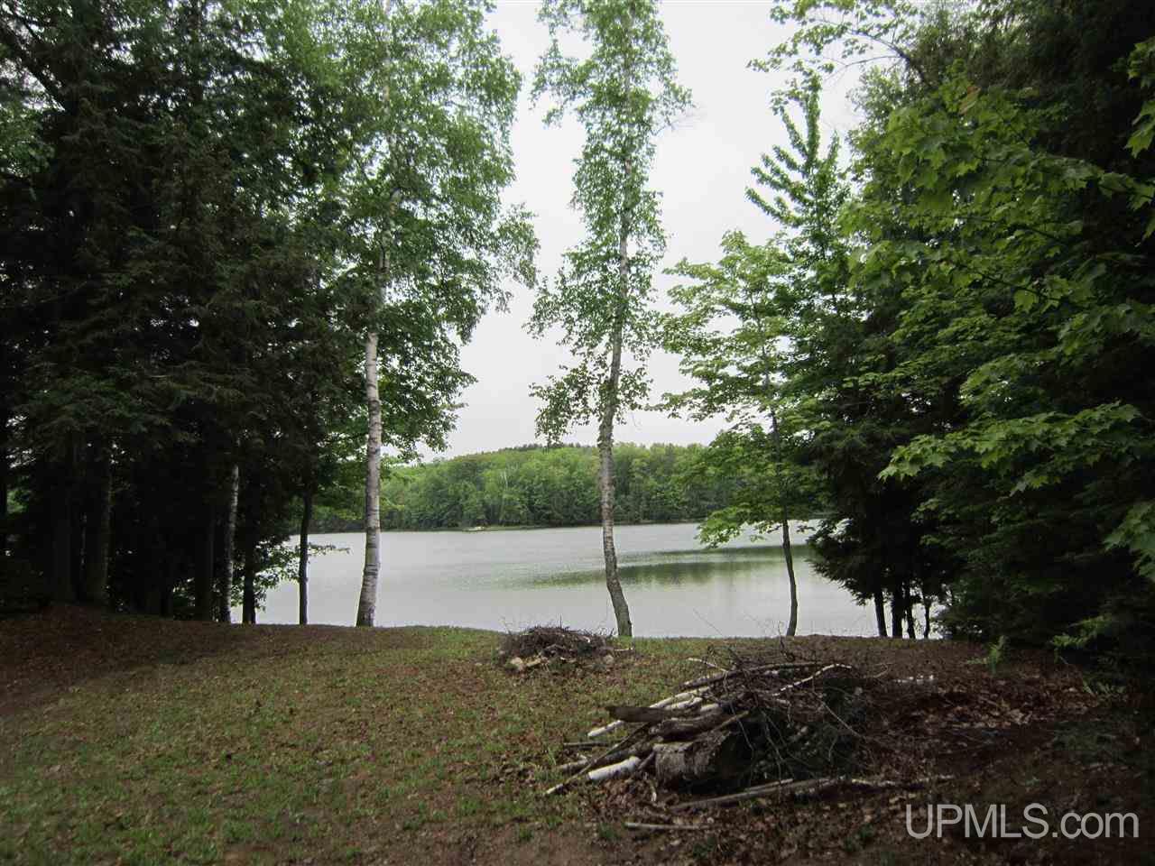 145 North Engman Lake Road Skandia, MI 49885 - Photo 5 of 6