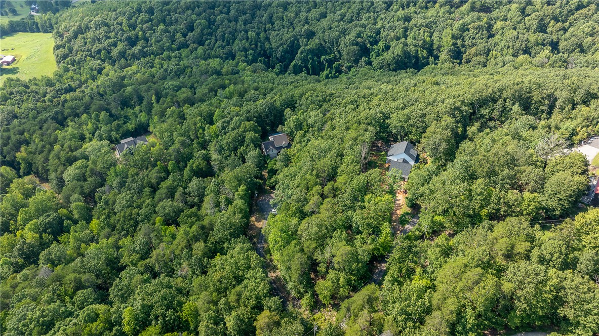 161 Overlook Drive Pickens, SC 29671 - Photo 36 of 43