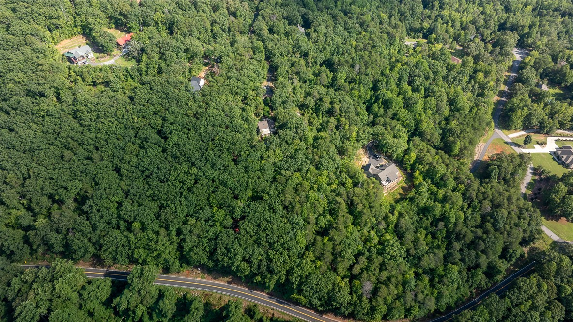 161 Overlook Drive Pickens, SC 29671 - Photo 38 of 43