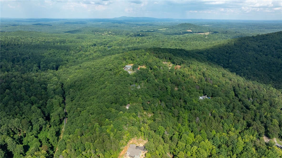 161 Overlook Drive Pickens, SC 29671 - Photo 41 of 43