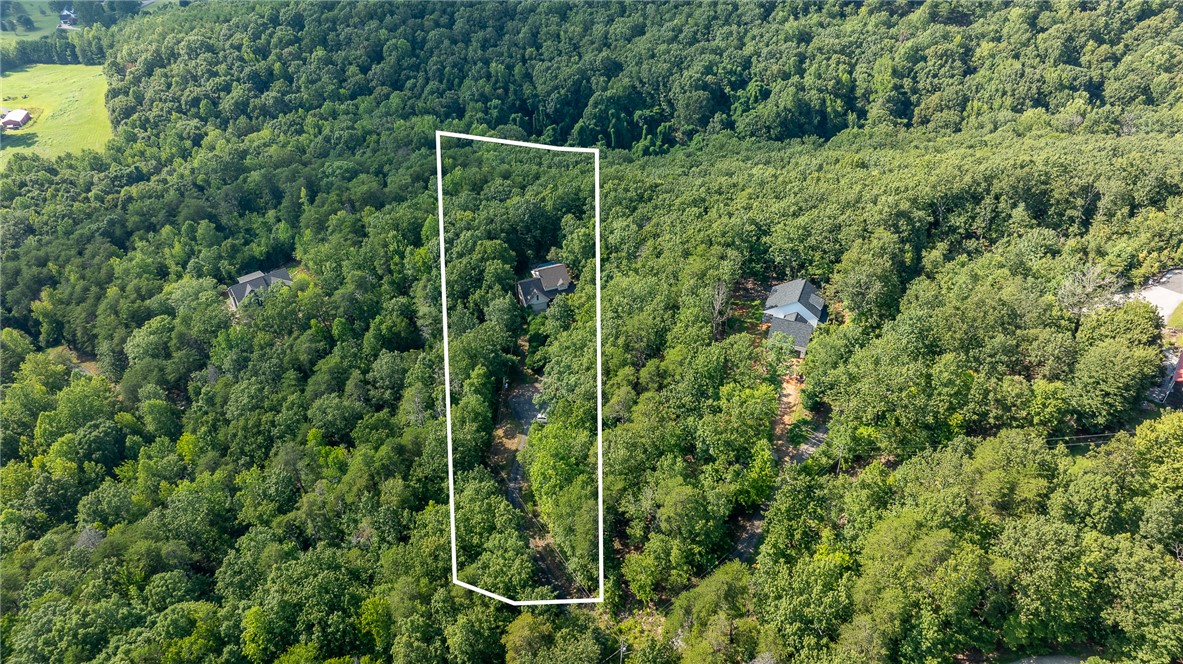 161 Overlook Drive Pickens, SC 29671 - Photo 6 of 43