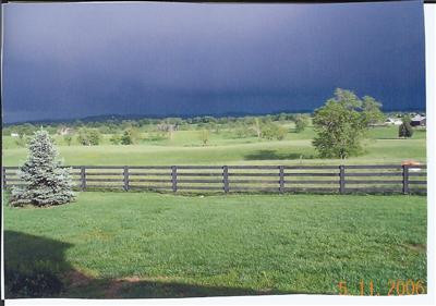 1611 Frog Branch Road Paint Lick, KY 40461 - Photo 6 of 33 Beautiful land