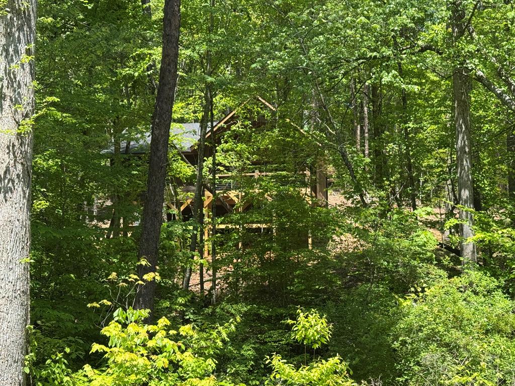 639 North Moreland Drive Blue Ridge, GA 30513 - Photo 27 of 53 a view of a tree