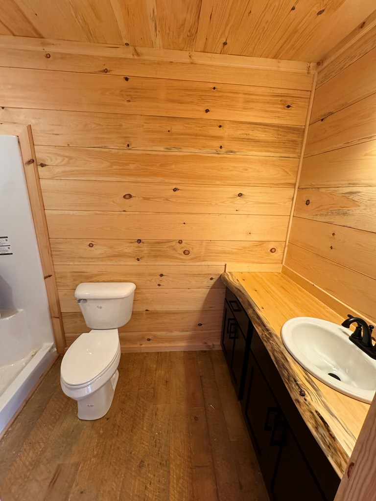 639 North Moreland Drive Blue Ridge, GA 30513 - Photo 10 of 53 a bathroom with a granite countertop toilet and a sink