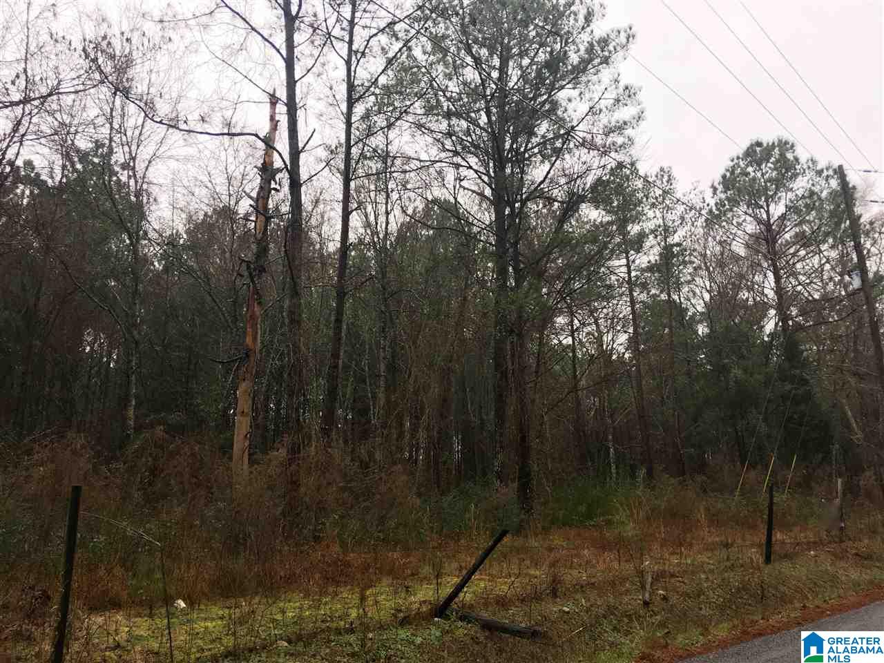 1285 Eureka Road, Unit 1 Lincoln, AL 35096 - Photo 22 of 37