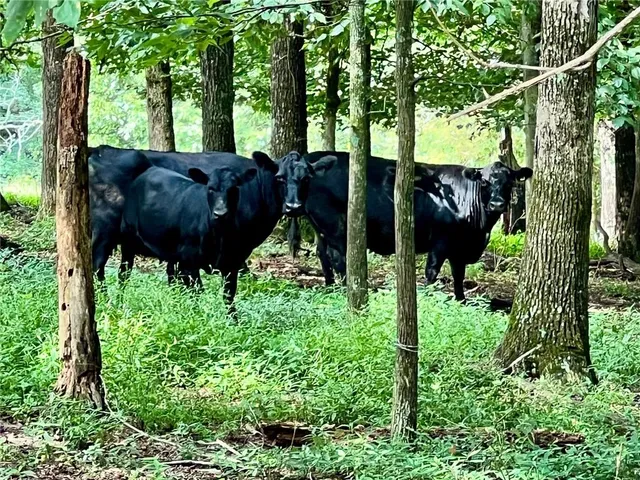 a view of a city from a balcony