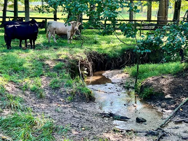 a view of a chairs and table in a garden