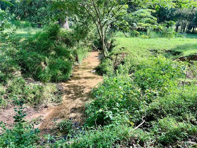 a view of a lush green space