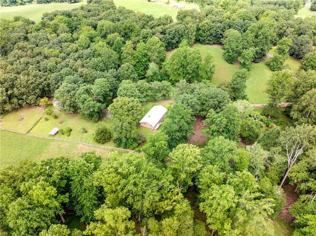 6223 Hulsey Road Clermont, GA 30527 - Photo 37 of 53 a view of a yard with plants and large trees