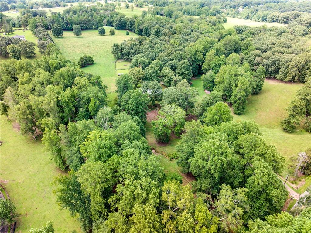 6223 Hulsey Road Clermont, GA 30527 - Photo 38 of 53 an aerial view of residential houses with outdoor space and trees