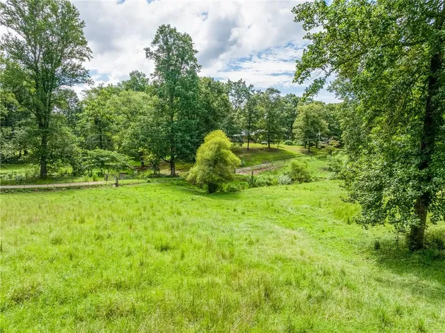 a view of a garden with flower plants