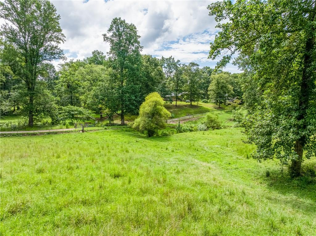 6223 Hulsey Road Clermont, GA 30527 - Photo 40 of 53 a garden view