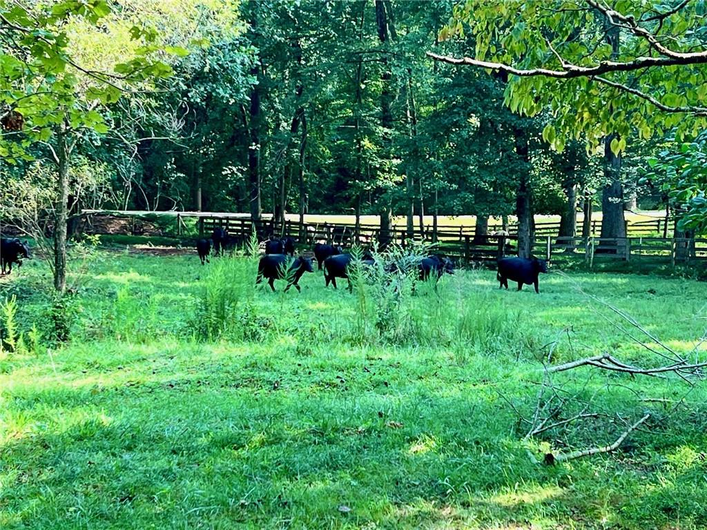 6223 Hulsey Road Clermont, GA 30527 - Photo 4 of 53 a view of backyard with green space