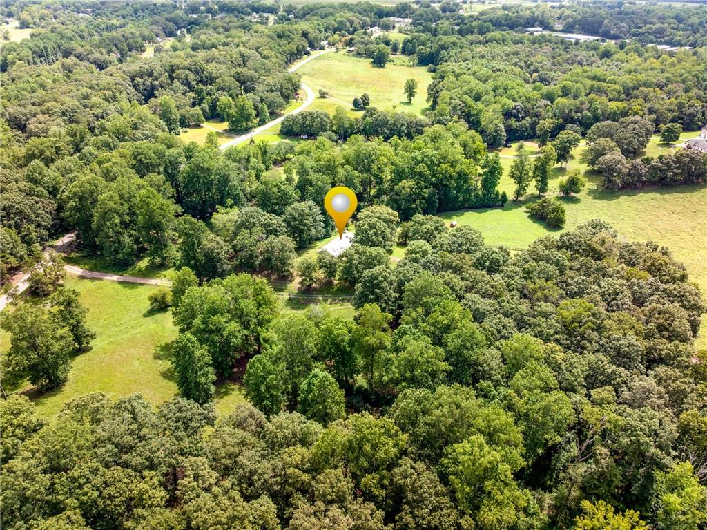 6223 Hulsey Road Clermont, GA 30527 - Photo 42 of 53 a plant view