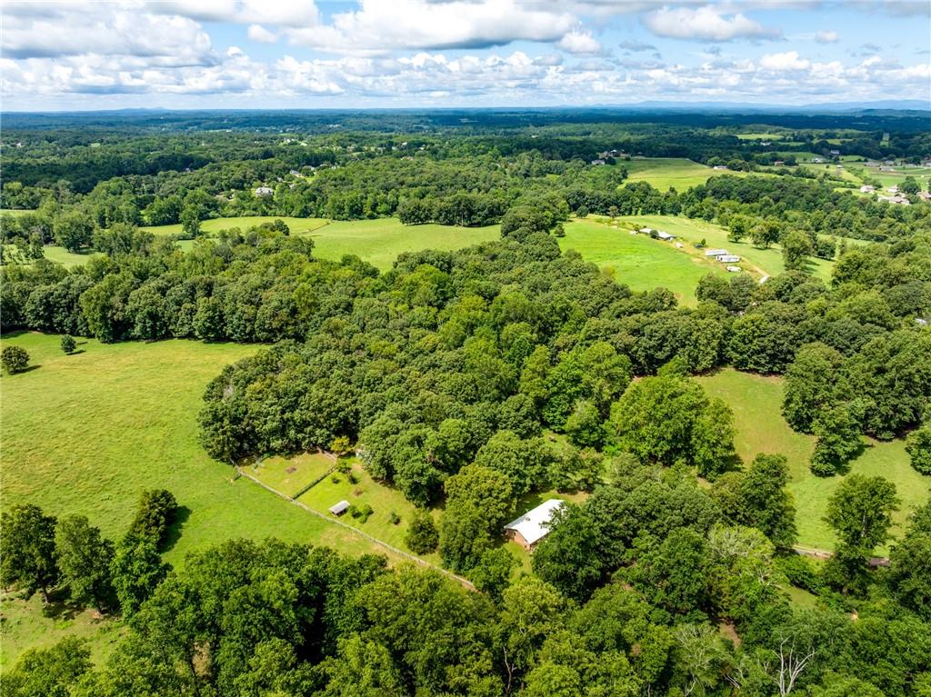 6223 Hulsey Road Clermont, GA 30527 - Photo 52 of 53 a view of yard with green space
