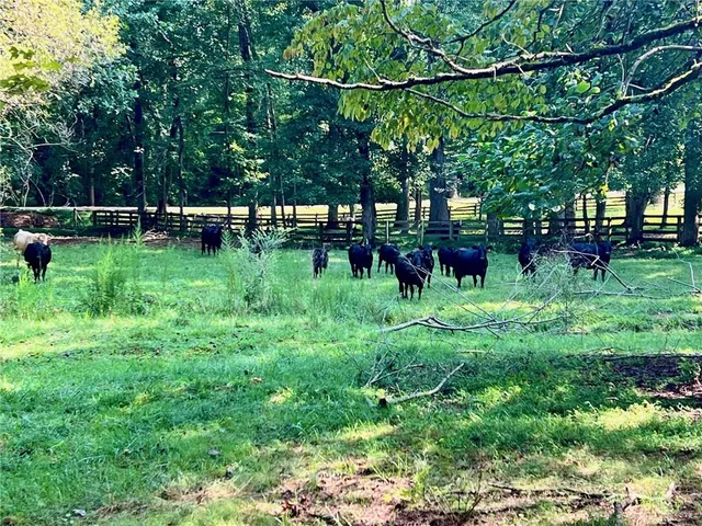 a view of trees and barn in a yard