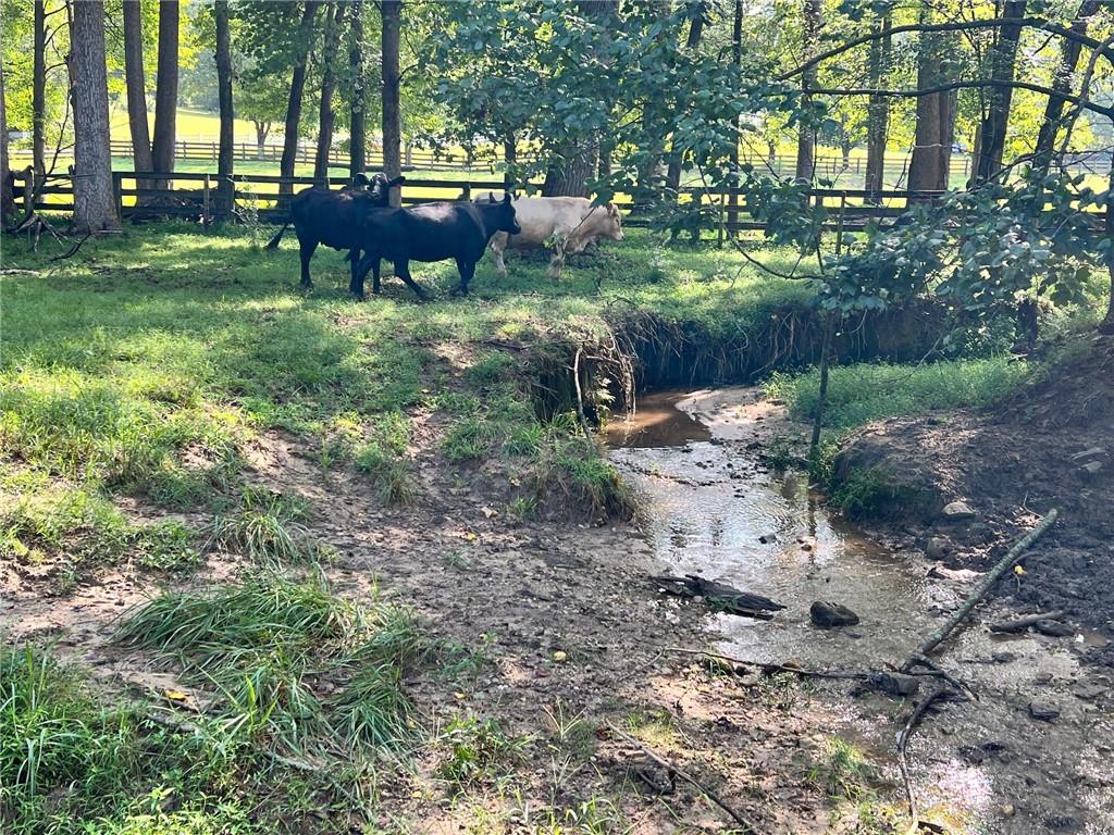 6223 Hulsey Road Clermont, GA 30527 - Photo 9 of 53 a backyard of a house with yard and outdoor seating